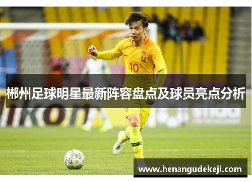 郴州足球明星最新阵容盘点及球员亮点分析