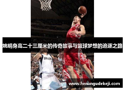 姚明身高二十三厘米的传奇故事与篮球梦想的追逐之路